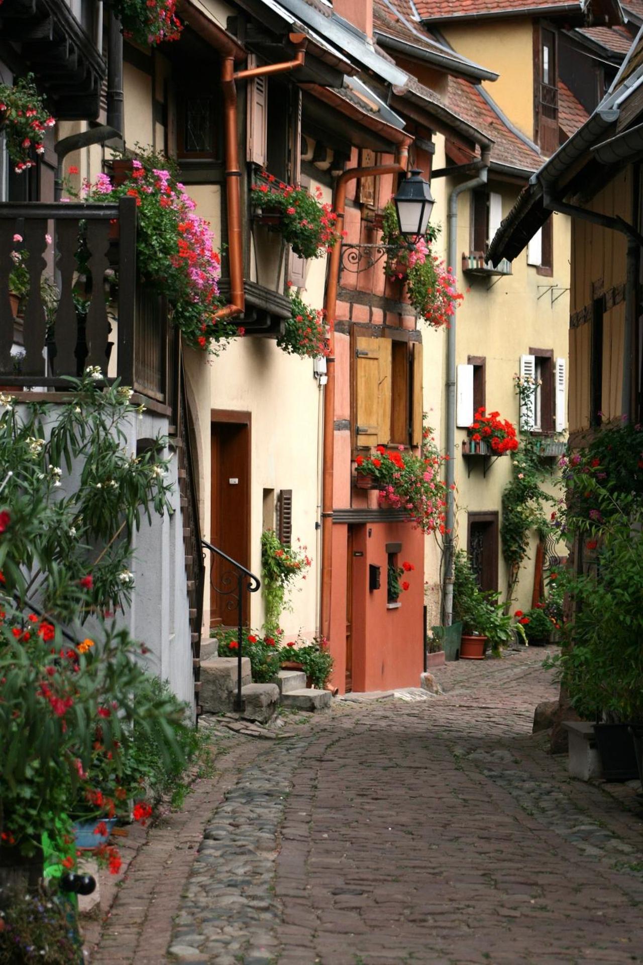 Gite Traditionnel Au Centre Historique D'Eguisheim Ngoại thất bức ảnh